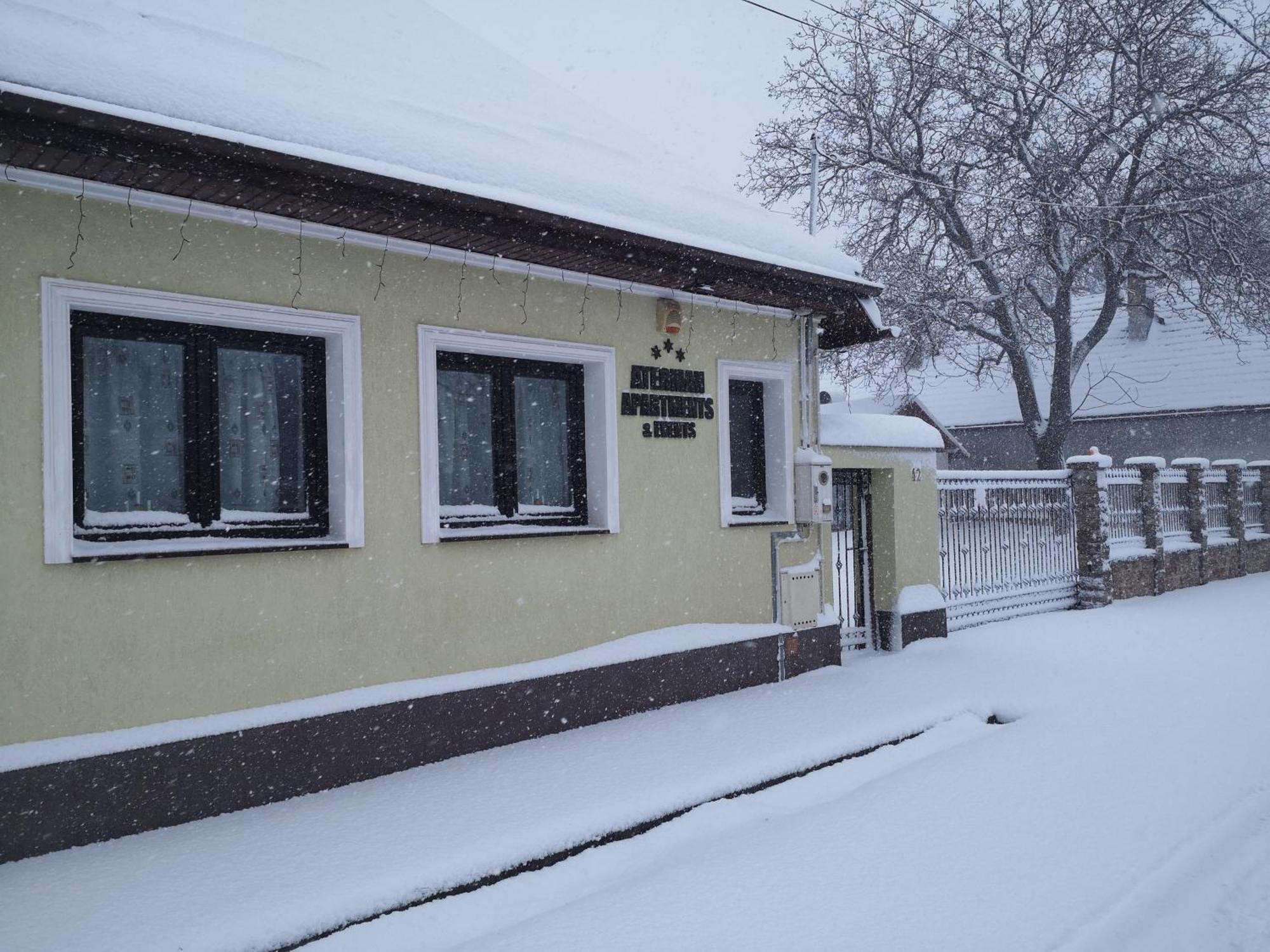 Aterman Apartment'S Sinca Veche Экстерьер фото