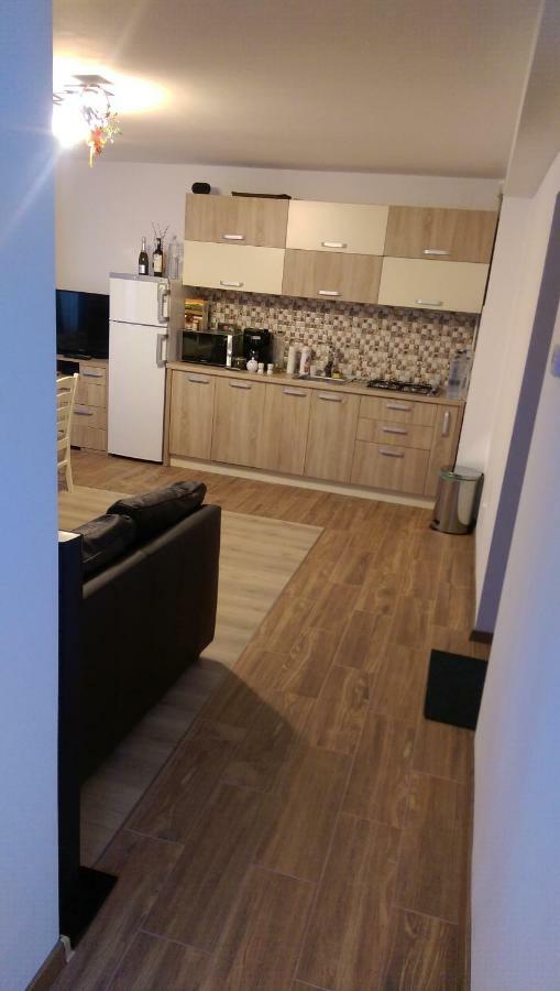 Aterman Apartment'S Sinca Veche Экстерьер фото